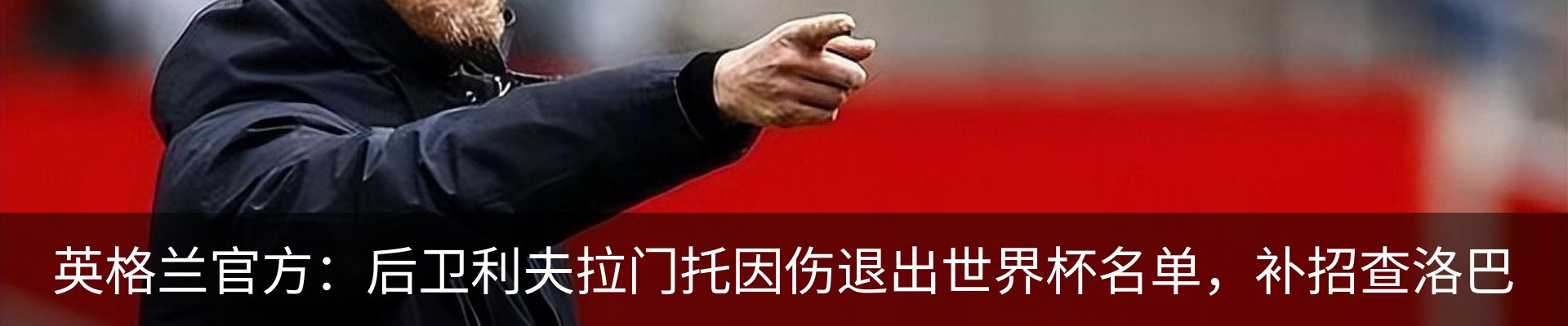 最新动态